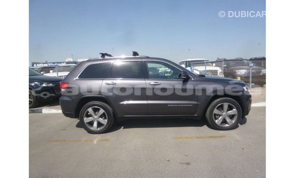 Acheter Import Voiture Jeep Grand Cherokee Autre à Import - Dubai, Iles Acheter Import Voiture Jeep Grand Cherokee Autre à Import - Dubai, Iles