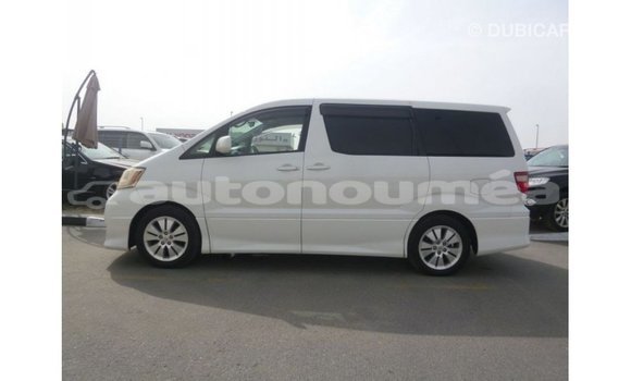 Acheter Import Voiture Toyota Alphard Blanc à Import - Dubai, Iles Acheter Import Voiture Toyota Alphard Blanc à Import - Dubai, Iles