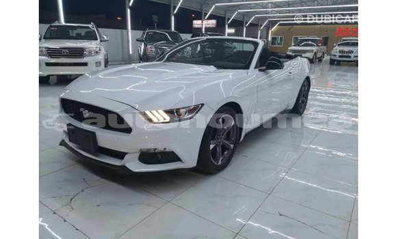 Buy Import Ford Mustang White Car in Import - Dubai in Iles Buy Import Ford Mustang White Car in Import - Dubai in Iles
