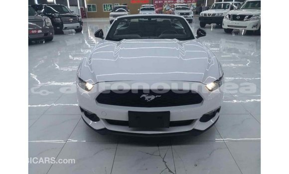 Buy Import Ford Mustang White Car in Import - Dubai in Iles Buy Import Ford Mustang White Car in Import - Dubai in Iles