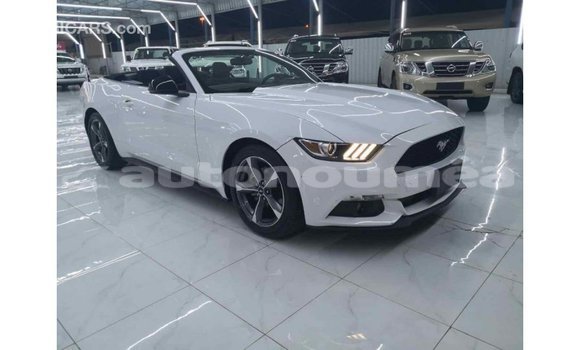 Buy Import Ford Mustang White Car in Import - Dubai in Iles Buy Import Ford Mustang White Car in Import - Dubai in Iles