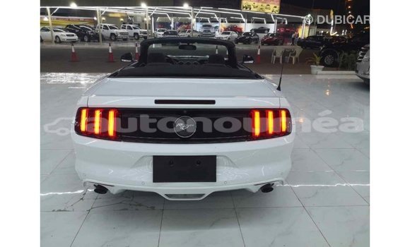 Buy Import Ford Mustang White Car in Import - Dubai in Iles Buy Import Ford Mustang White Car in Import - Dubai in Iles