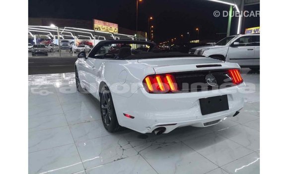 Buy Import Ford Mustang White Car in Import - Dubai in Iles Buy Import Ford Mustang White Car in Import - Dubai in Iles