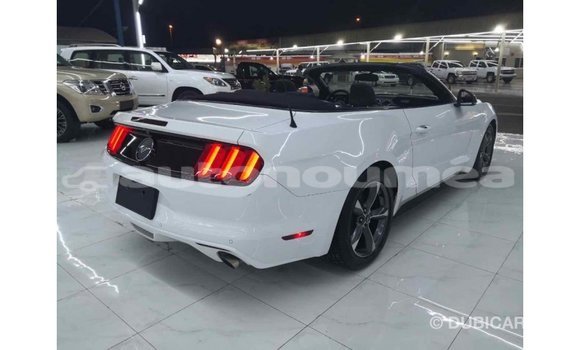 Buy Import Ford Mustang White Car in Import - Dubai in Iles Buy Import Ford Mustang White Car in Import - Dubai in Iles