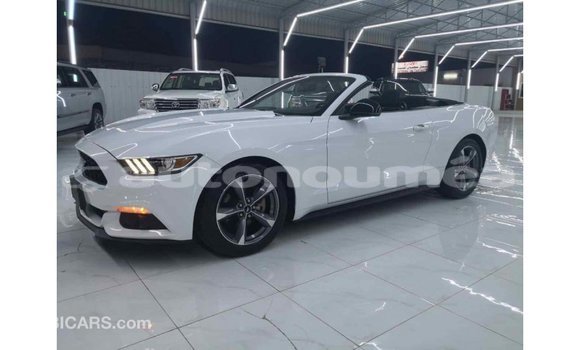 Buy Import Ford Mustang White Car in Import - Dubai in Iles Buy Import Ford Mustang White Car in Import - Dubai in Iles