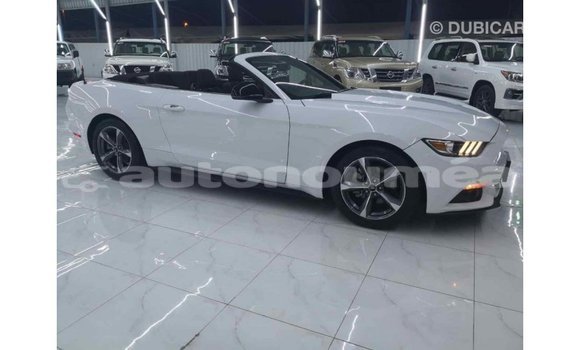 Buy Import Ford Mustang White Car in Import - Dubai in Iles Buy Import Ford Mustang White Car in Import - Dubai in Iles