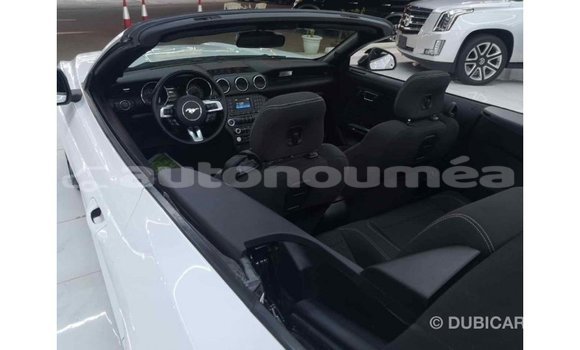 Buy Import Ford Mustang White Car in Import - Dubai in Iles Buy Import Ford Mustang White Car in Import - Dubai in Iles