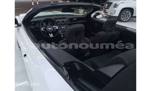 Buy Import Ford Mustang White Car in Import - Dubai in Iles Buy Import Ford Mustang White Car in Import - Dubai in Iles
