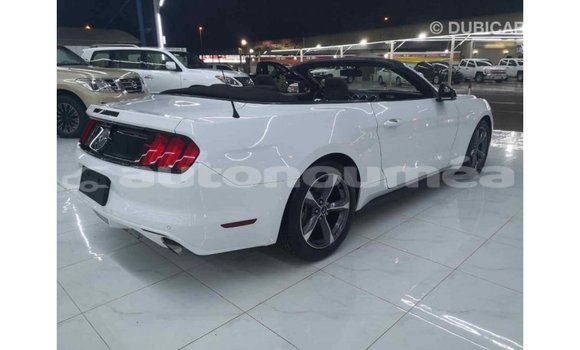 Buy Import Ford Mustang White Car in Import - Dubai in Iles Buy Import Ford Mustang White Car in Import - Dubai in Iles