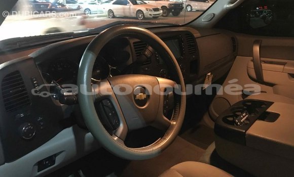 Buy Import Chevrolet Silverado Other Car in Import - Dubai in Iles Buy Import Chevrolet Silverado Other Car in Import - Dubai in Iles