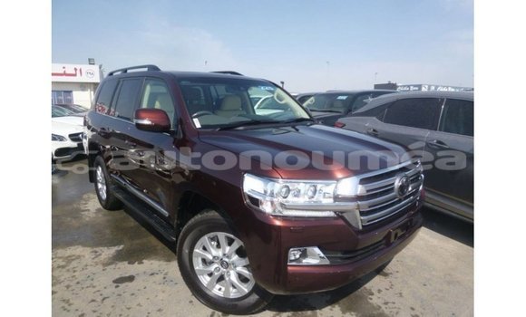 Acheter Import Voiture Toyota Land Cruiser Marron à Import - Dubai, Iles Acheter Import Voiture Toyota Land Cruiser Marron à Import - Dubai, Iles