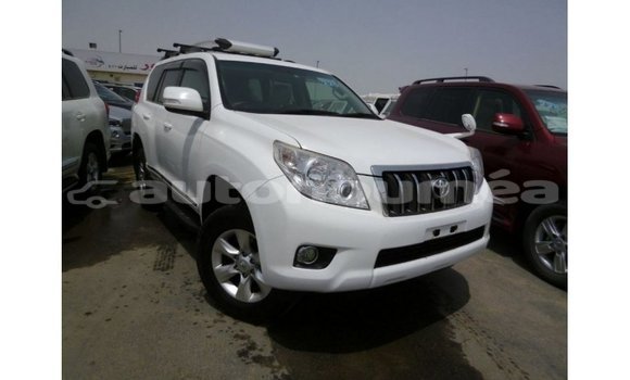 Acheter Import Voiture Toyota Prado Blanc à Import - Dubai, Iles Acheter Import Voiture Toyota Prado Blanc à Import - Dubai, Iles