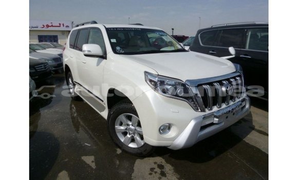 Acheter Import Voiture Toyota Prado Blanc à Import - Dubai, Iles Acheter Import Voiture Toyota Prado Blanc à Import - Dubai, Iles