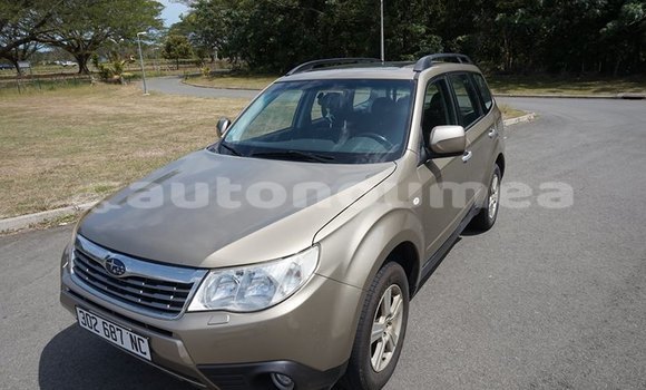 Buy Used Subaru Forrester Other Car in Ouegoa in Nord