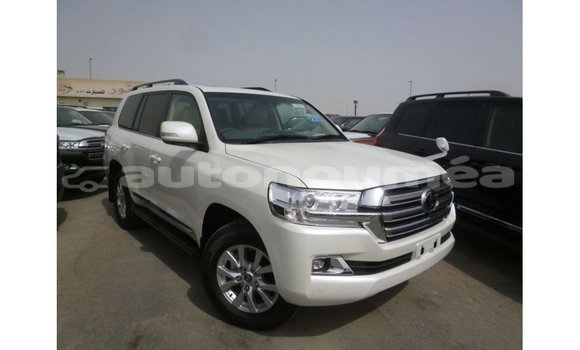 Acheter Import Voiture Toyota Land Cruiser Blanc à Import - Dubai, Iles Acheter Import Voiture Toyota Land Cruiser Blanc à Import - Dubai, Iles