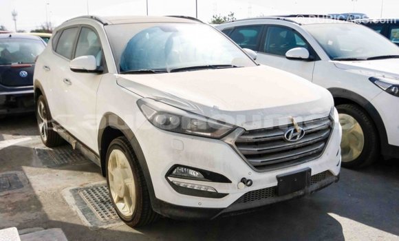 Acheter Import Voiture Hyundai Tucson Blanc à Import - Dubai, Iles Acheter Import Voiture Hyundai Tucson Blanc à Import - Dubai, Iles