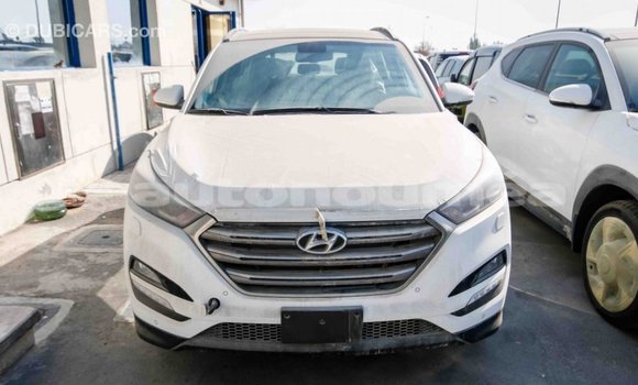Acheter Import Voiture Hyundai Tucson Blanc à Import - Dubai, Iles Acheter Import Voiture Hyundai Tucson Blanc à Import - Dubai, Iles
