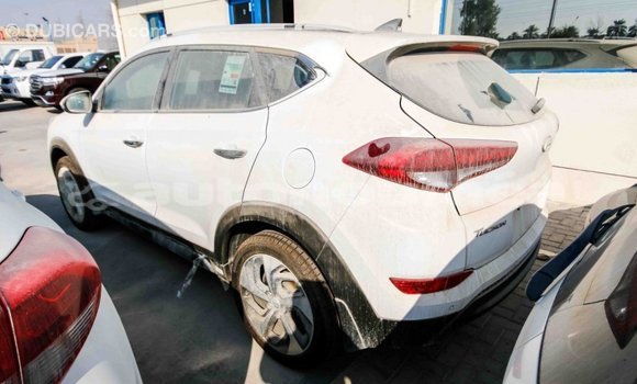 Acheter Import Voiture Hyundai Tucson Blanc à Import - Dubai, Iles Acheter Import Voiture Hyundai Tucson Blanc à Import - Dubai, Iles