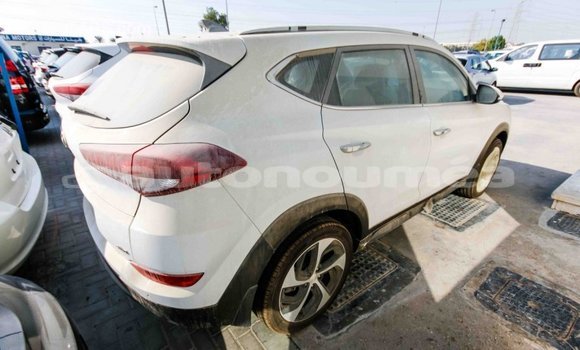 Acheter Import Voiture Hyundai Tucson Blanc à Import - Dubai, Iles Acheter Import Voiture Hyundai Tucson Blanc à Import - Dubai, Iles