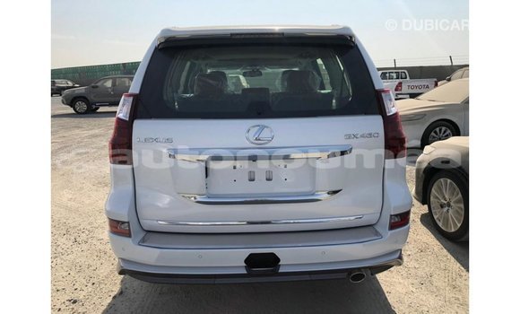 Acheter Import Voiture Lexus GX Blanc à Import - Dubai, Iles Acheter Import Voiture Lexus GX Blanc à Import - Dubai, Iles