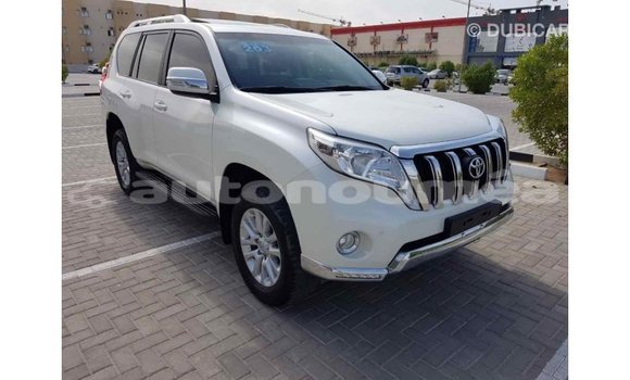 Acheter Import Voiture Toyota Prado Blanc à Import - Dubai, Iles Acheter Import Voiture Toyota Prado Blanc à Import - Dubai, Iles