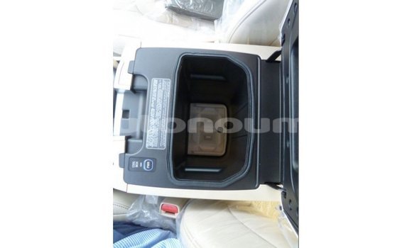 Acheter Import Voiture Toyota Land Cruiser Autre à Import - Dubai, Iles Acheter Import Voiture Toyota Land Cruiser Autre à Import - Dubai, Iles