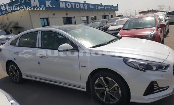 Acheter Import Voiture Hyundai Sonata Blanc à Import - Dubai, Iles Acheter Import Voiture Hyundai Sonata Blanc à Import - Dubai, Iles
