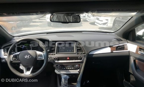 Acheter Import Voiture Hyundai Sonata Blanc à Import - Dubai, Iles Acheter Import Voiture Hyundai Sonata Blanc à Import - Dubai, Iles