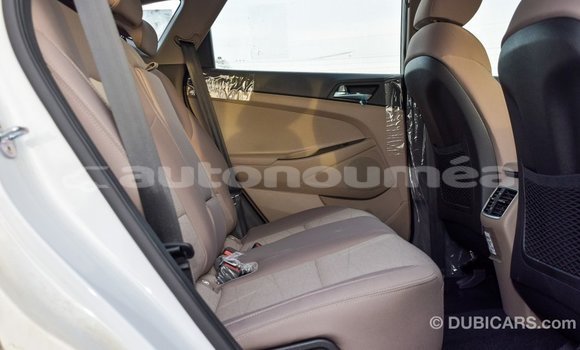 Buy Import Hyundai Tucson White Car in Import - Dubai in Iles Buy Import Hyundai Tucson White Car in Import - Dubai in Iles