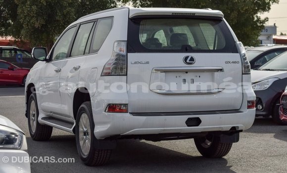 Buy Import Lexus GX White Car in Import - Dubai in Iles Buy Import Lexus GX White Car in Import - Dubai in Iles