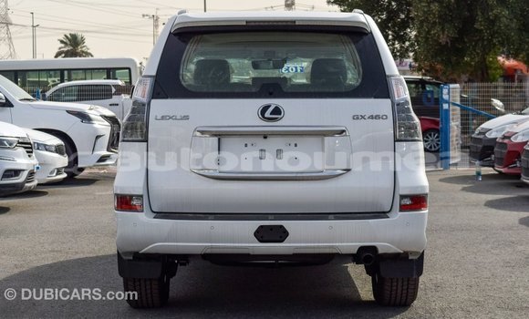 Buy Import Lexus GX White Car in Import - Dubai in Iles Buy Import Lexus GX White Car in Import - Dubai in Iles