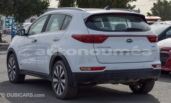 Buy Import Kia Sportage White Car in Import - Dubai in Iles Buy Import Kia Sportage White Car in Import - Dubai in Iles