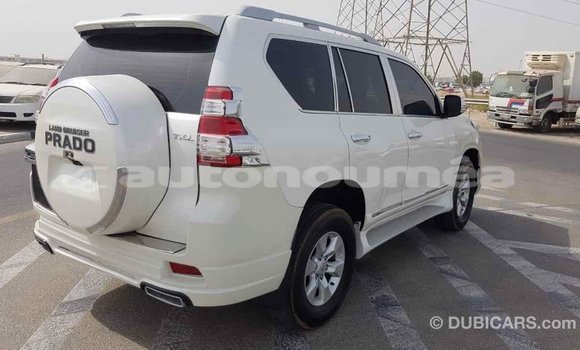 Acheter Import Voiture Toyota Prado Blanc à Import - Dubai, Iles Acheter Import Voiture Toyota Prado Blanc à Import - Dubai, Iles