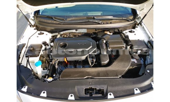 Acheter Import Voiture Hyundai Sonata Blanc à Import - Dubai, Iles Acheter Import Voiture Hyundai Sonata Blanc à Import - Dubai, Iles