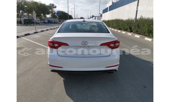 Acheter Import Voiture Hyundai Sonata Blanc à Import - Dubai, Iles Acheter Import Voiture Hyundai Sonata Blanc à Import - Dubai, Iles