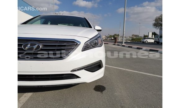 Acheter Import Voiture Hyundai Sonata Blanc à Import - Dubai, Iles Acheter Import Voiture Hyundai Sonata Blanc à Import - Dubai, Iles