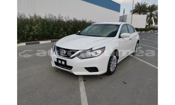 Acheter Import Voiture Nissan Altima Blanc à Import - Dubai, Iles Acheter Import Voiture Nissan Altima Blanc à Import - Dubai, Iles