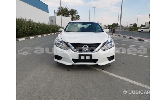 Acheter Import Voiture Nissan Altima Blanc à Import - Dubai, Iles Acheter Import Voiture Nissan Altima Blanc à Import - Dubai, Iles