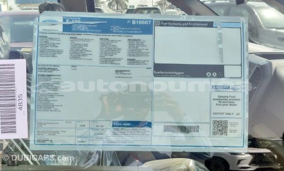 Buy Import Ford Club Wagon Red Car in Import - Dubai in Iles Buy Import Ford Club Wagon Red Car in Import - Dubai in Iles