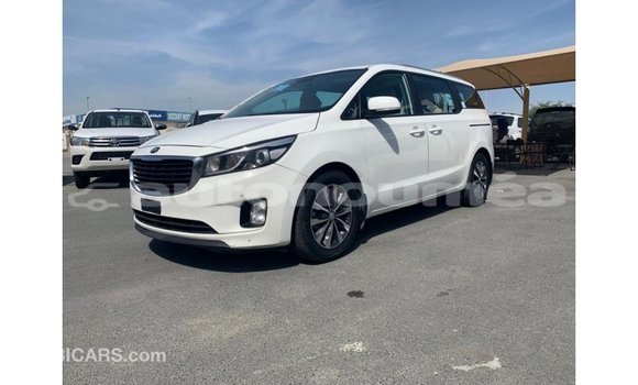Buy Import Kia Carnival White Car in Import - Dubai in Iles Buy Import Kia Carnival White Car in Import - Dubai in Iles