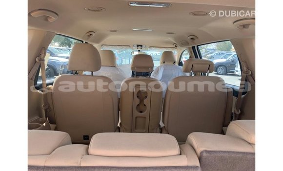 Buy Import Kia Carnival White Car in Import - Dubai in Iles Buy Import Kia Carnival White Car in Import - Dubai in Iles