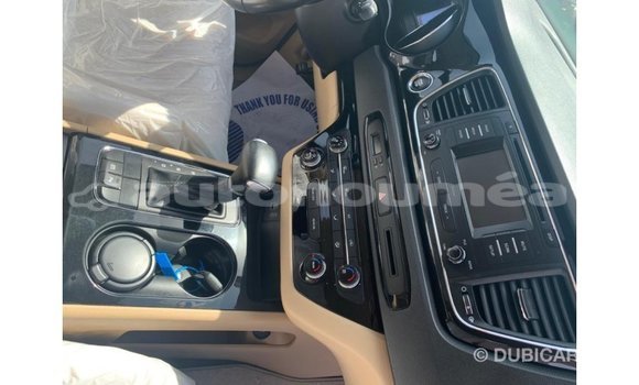 Buy Import Kia Carnival White Car in Import - Dubai in Iles Buy Import Kia Carnival White Car in Import - Dubai in Iles