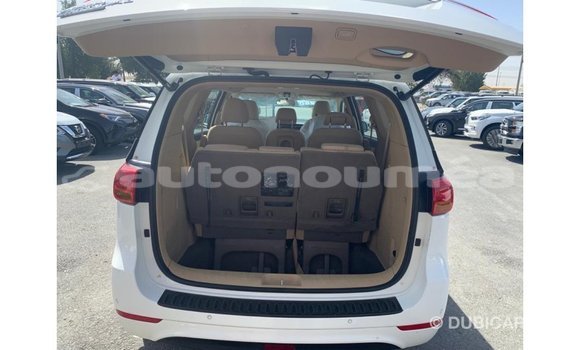 Buy Import Kia Carnival White Car in Import - Dubai in Iles Buy Import Kia Carnival White Car in Import - Dubai in Iles