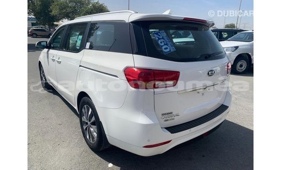 Buy Import Kia Carnival White Car in Import - Dubai in Iles Buy Import Kia Carnival White Car in Import - Dubai in Iles