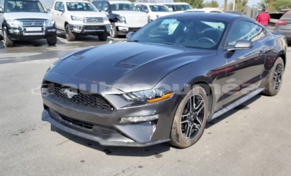 Buy Import Ford Mustang Other Car in Import - Dubai in Iles Buy Import Ford Mustang Other Car in Import - Dubai in Iles
