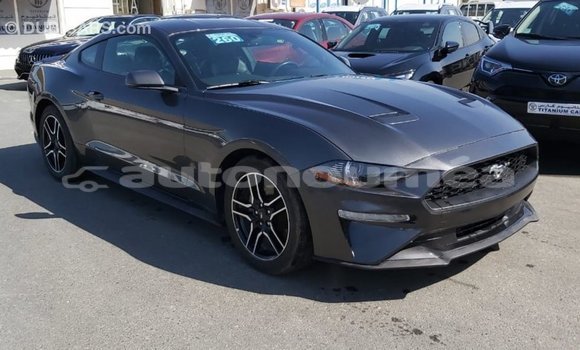 Buy Import Ford Mustang Other Car in Import - Dubai in Iles Buy Import Ford Mustang Other Car in Import - Dubai in Iles