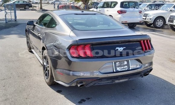 Buy Import Ford Mustang Other Car in Import - Dubai in Iles Buy Import Ford Mustang Other Car in Import - Dubai in Iles