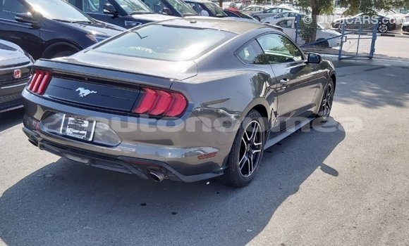 Buy Import Ford Mustang Other Car in Import - Dubai in Iles Buy Import Ford Mustang Other Car in Import - Dubai in Iles