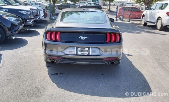 Buy Import Ford Mustang Other Car in Import - Dubai in Iles Buy Import Ford Mustang Other Car in Import - Dubai in Iles