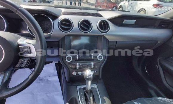 Buy Import Ford Mustang Other Car in Import - Dubai in Iles Buy Import Ford Mustang Other Car in Import - Dubai in Iles